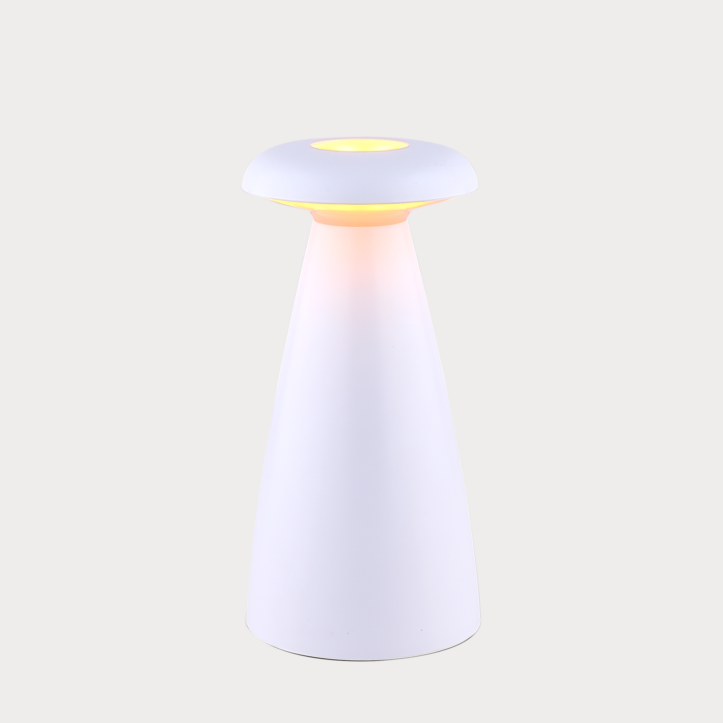 Flower Vase Lamp--White - Cavars