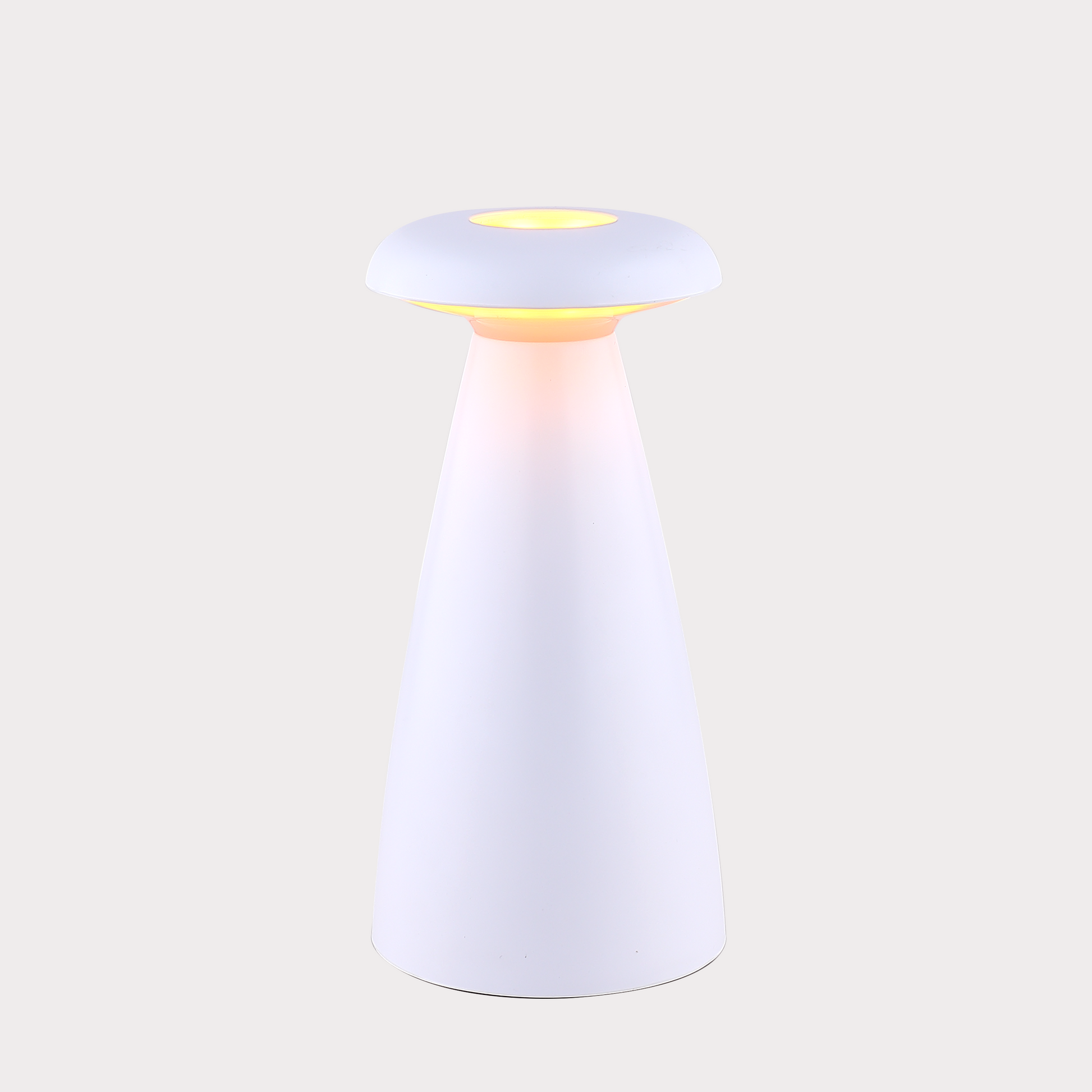 Flower Vase Lamp--White - Cavars